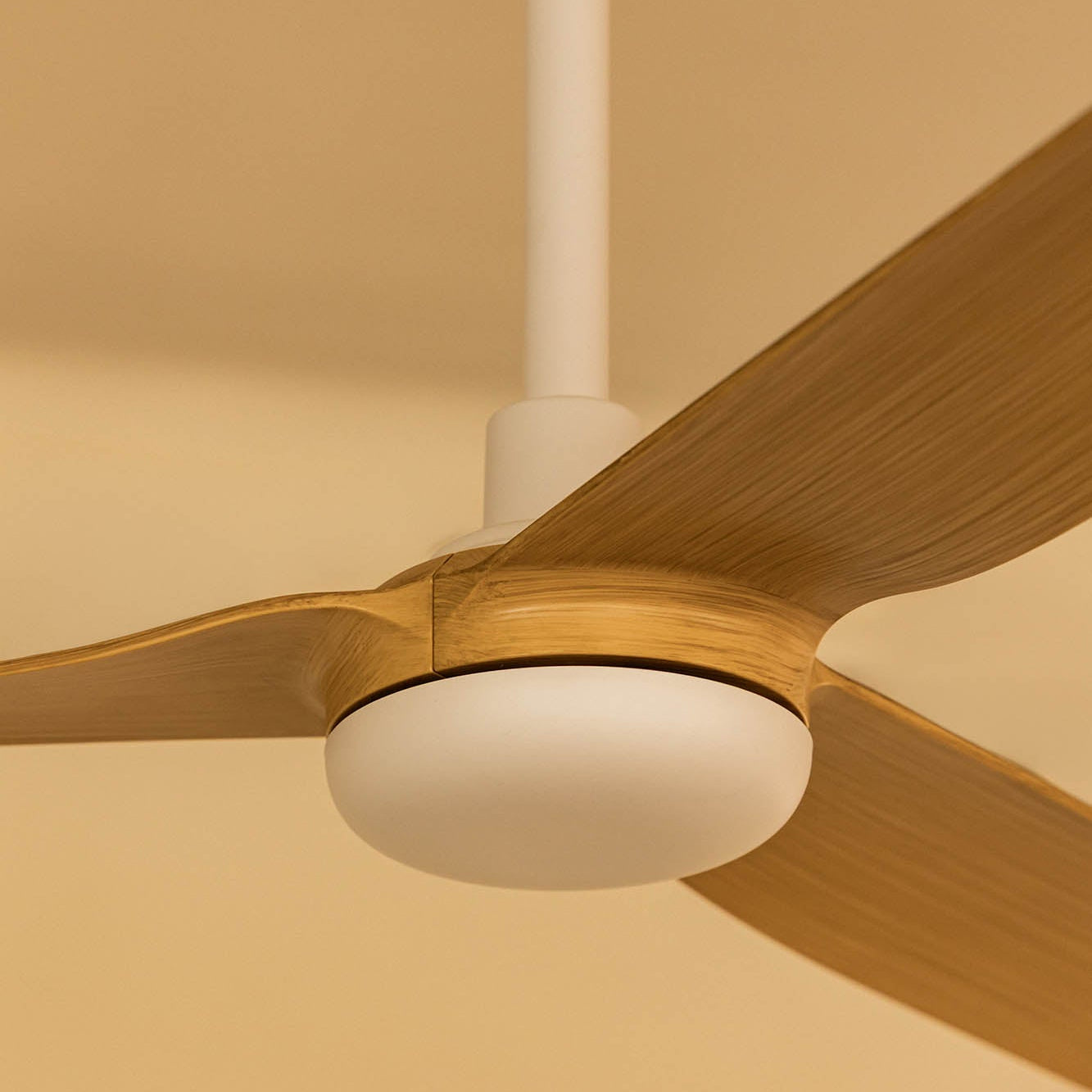 PUNT M Ceiling Fan